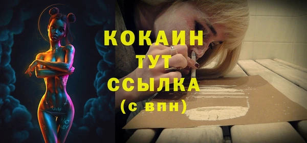 дурь Богородицк