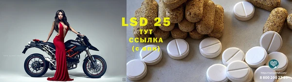 твердый Богданович