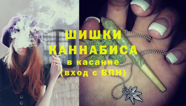 твердый Богданович