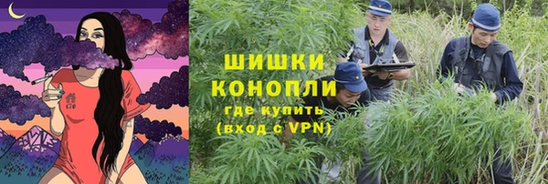 твердый Богданович
