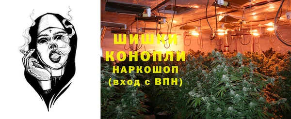 дурь Богородицк